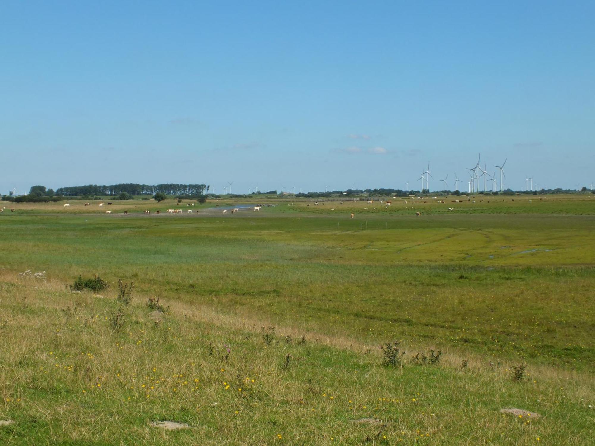 Ferienwohnung In Osterdeichstrich Oesterdeichstrich Buitenkant foto