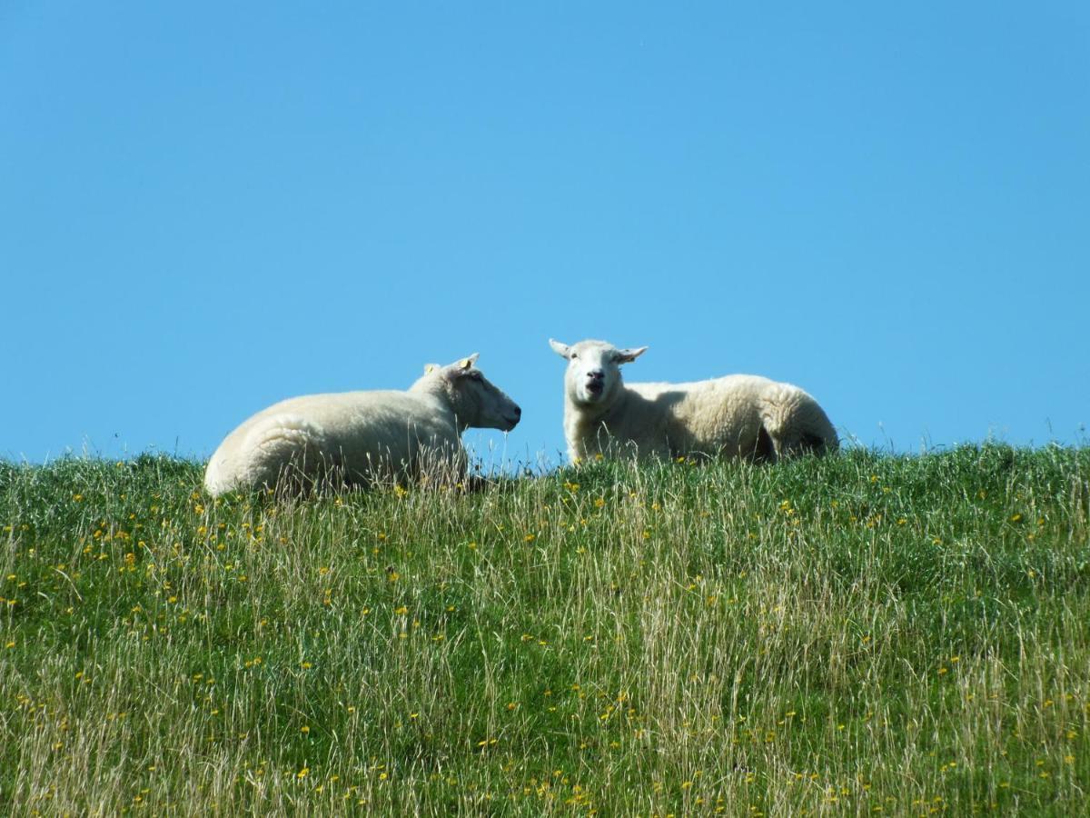 Ferienwohnung In Osterdeichstrich Oesterdeichstrich Buitenkant foto